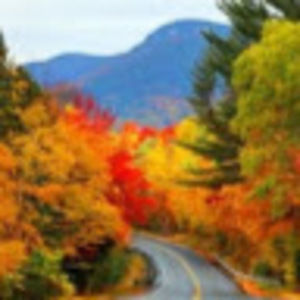 Meet your Posher, Mary agness